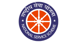 NSS Logo